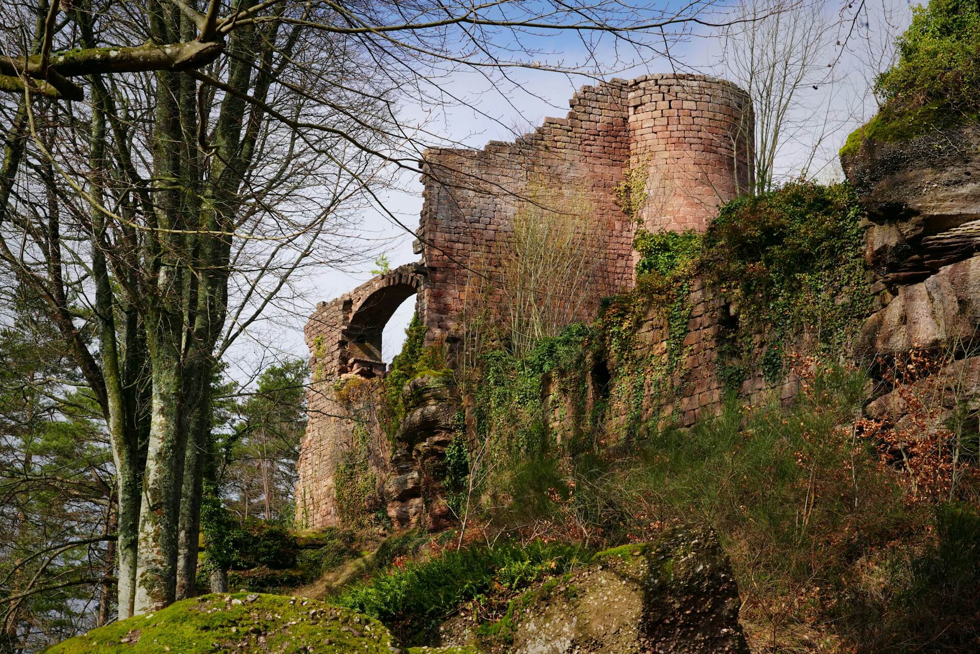 Vue des ruines du château d'Obernai illustrant la ville et son patrimoine